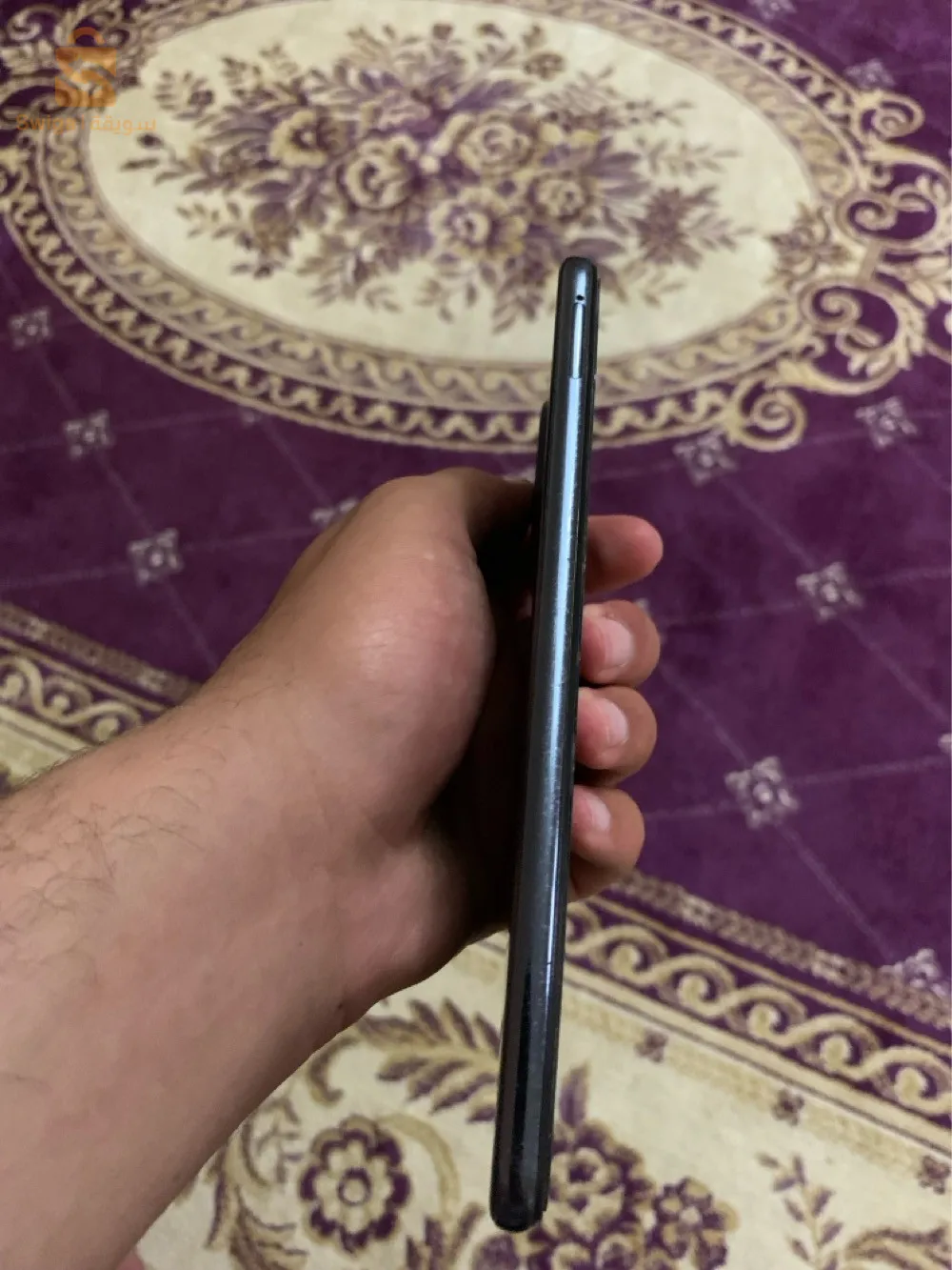 المدية