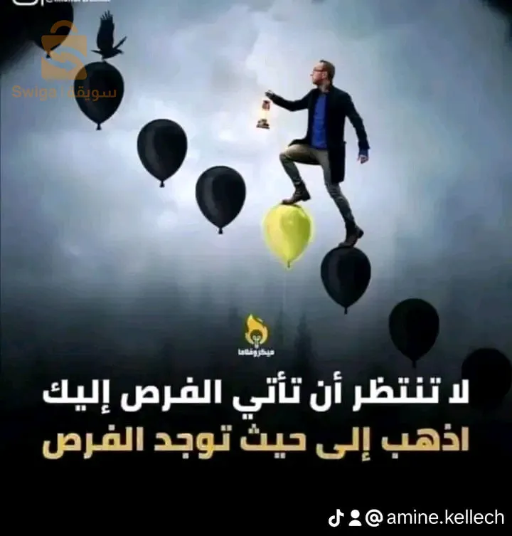 شركة نيوفيزو الرائعة