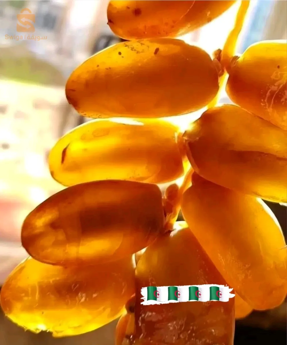 شركة التمور