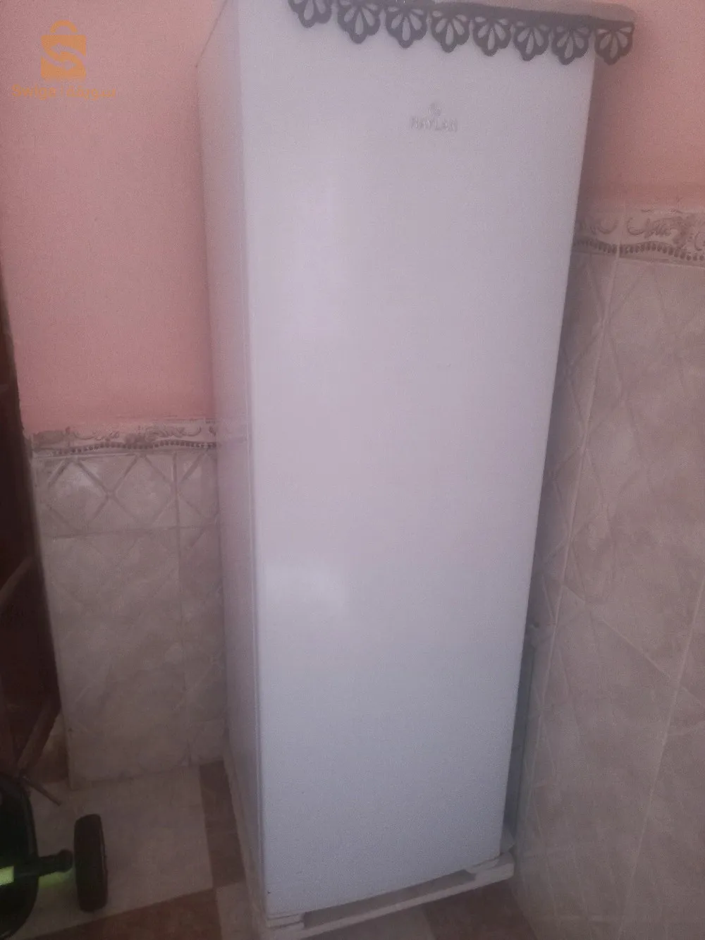 جامعة ولاية المغير