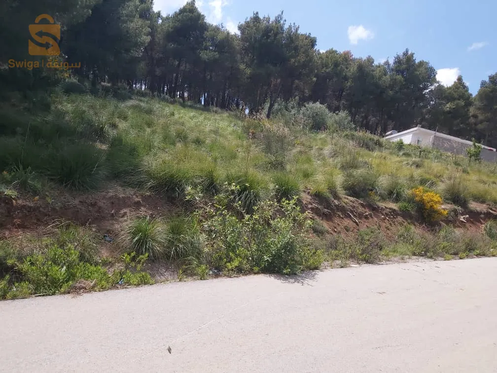 قطعة أرض وراء ثانوية بن داس باينان