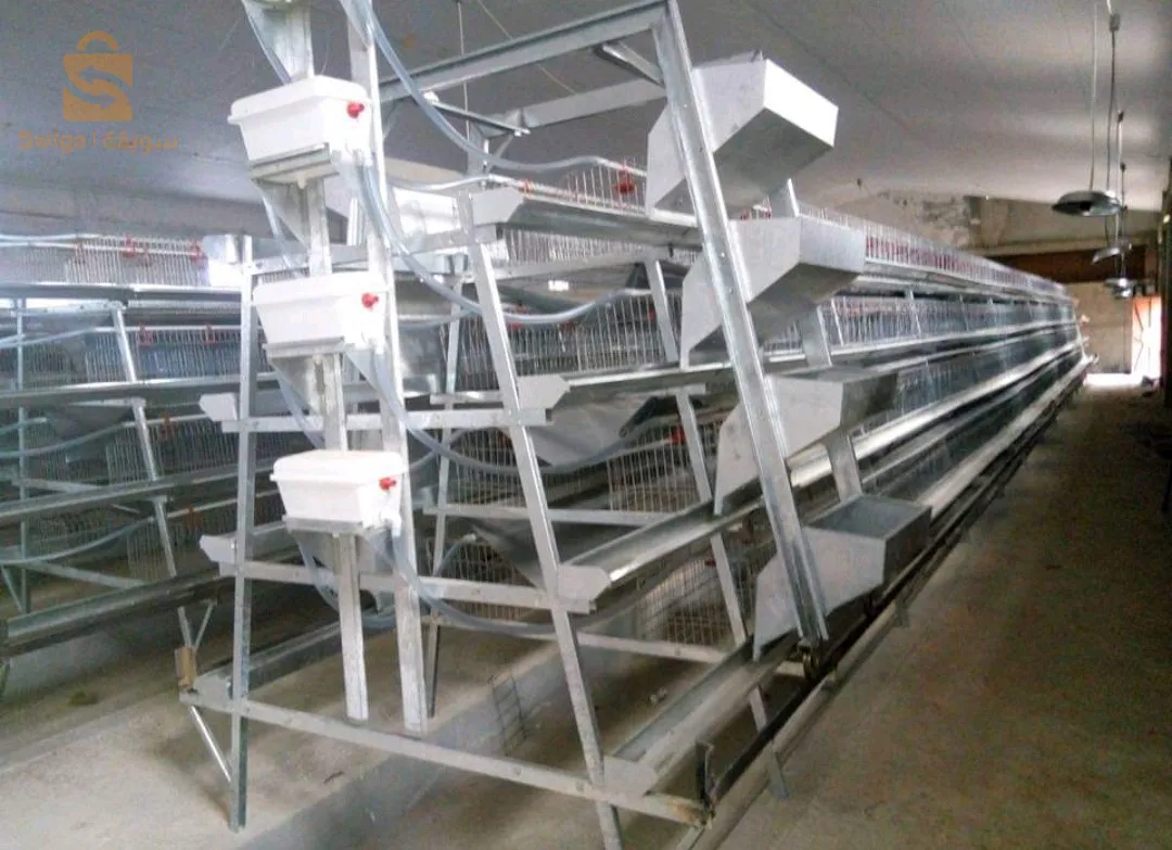 بطاريات الدجاج والانعام