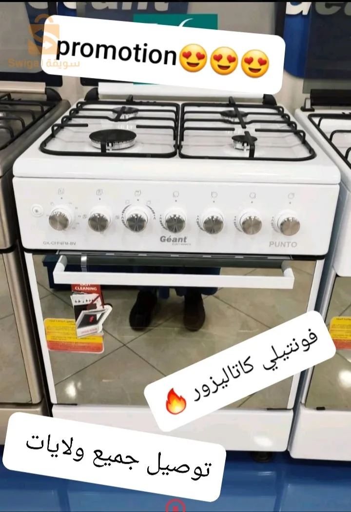 كويزنيار جيون فونيتلي كاتاليزور