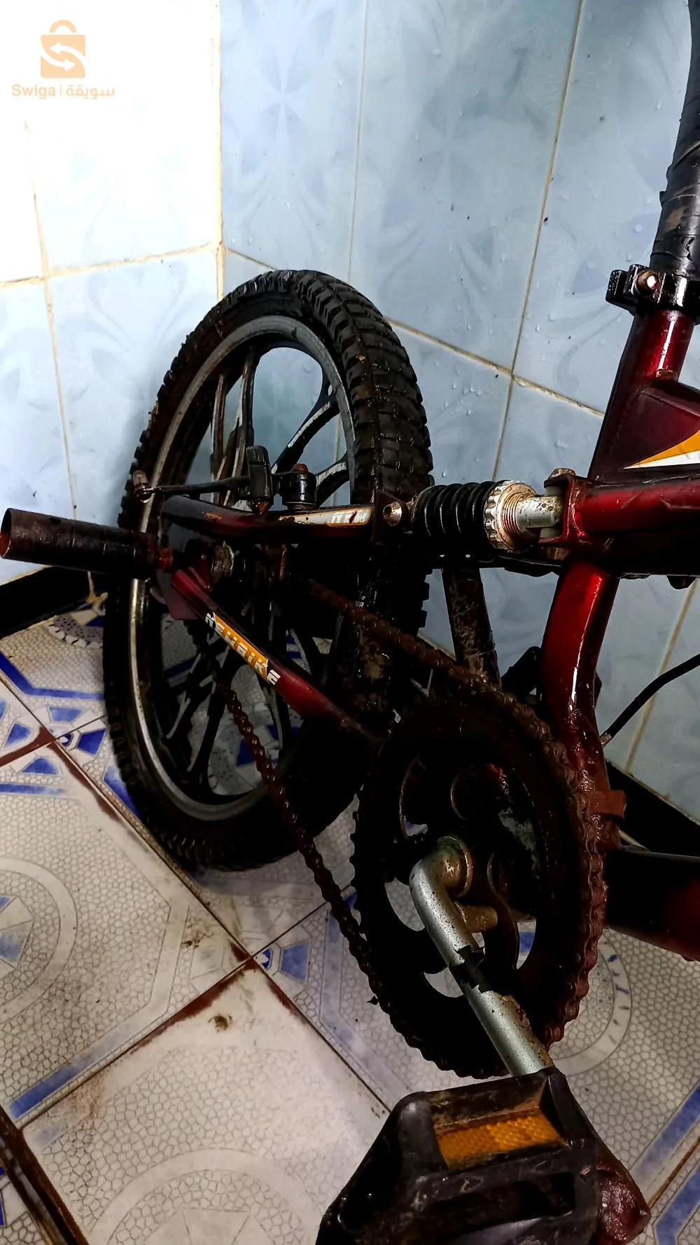 فيلة بياميكس برو