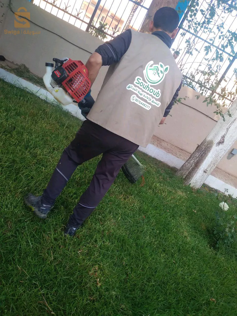 الأغواط