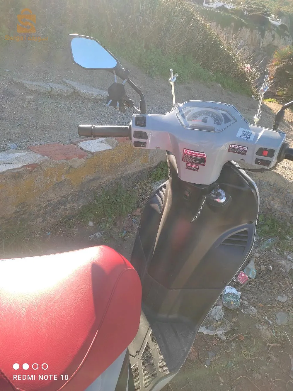 العصفور الطارف