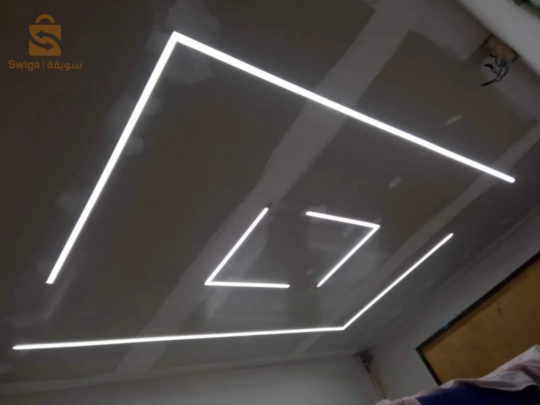 الجزائر العاصمة وضوحيها