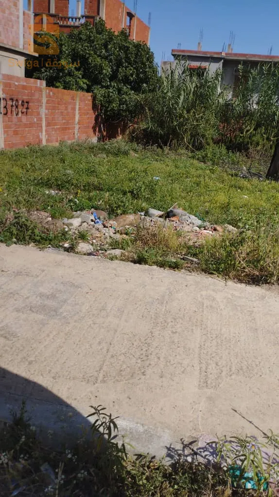 حي جنان الشوك