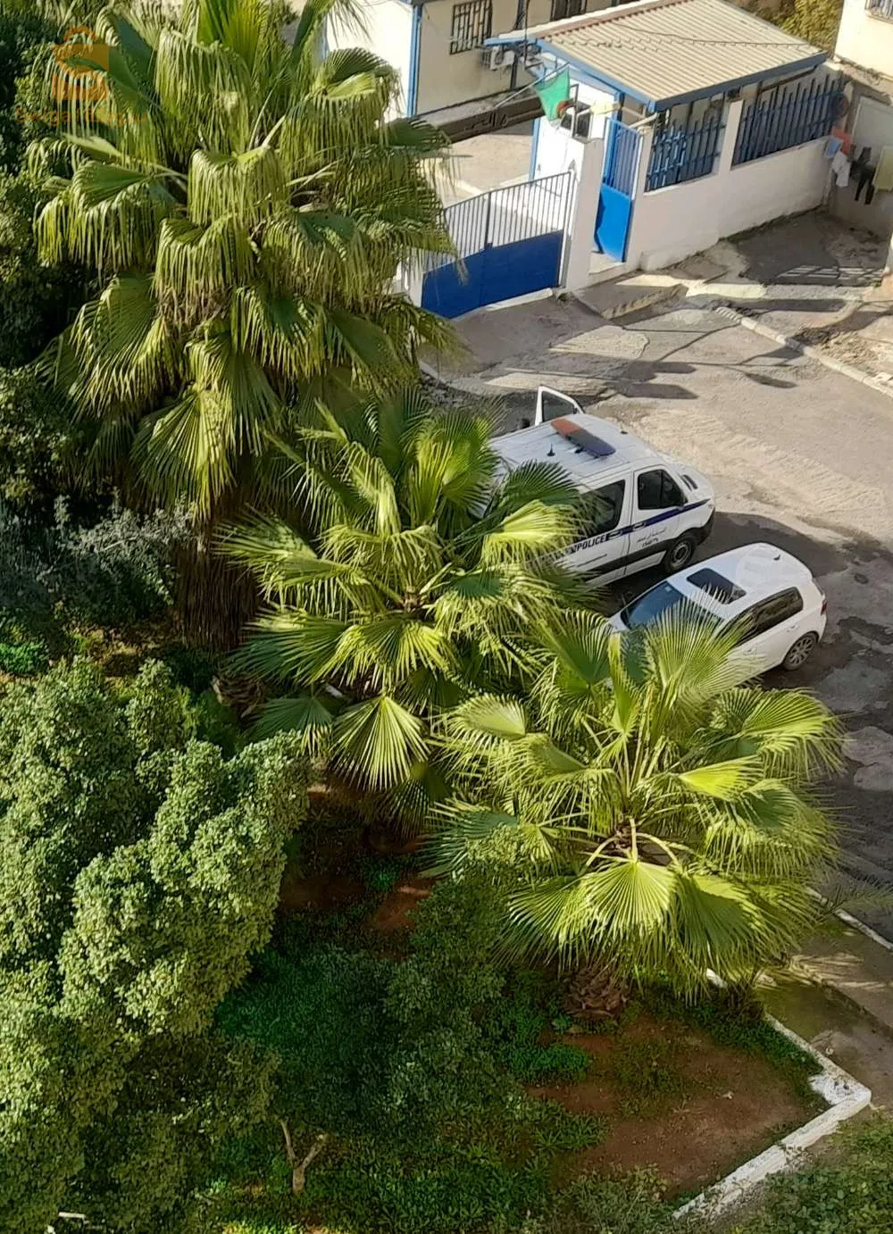 f3 à ain nadja alger