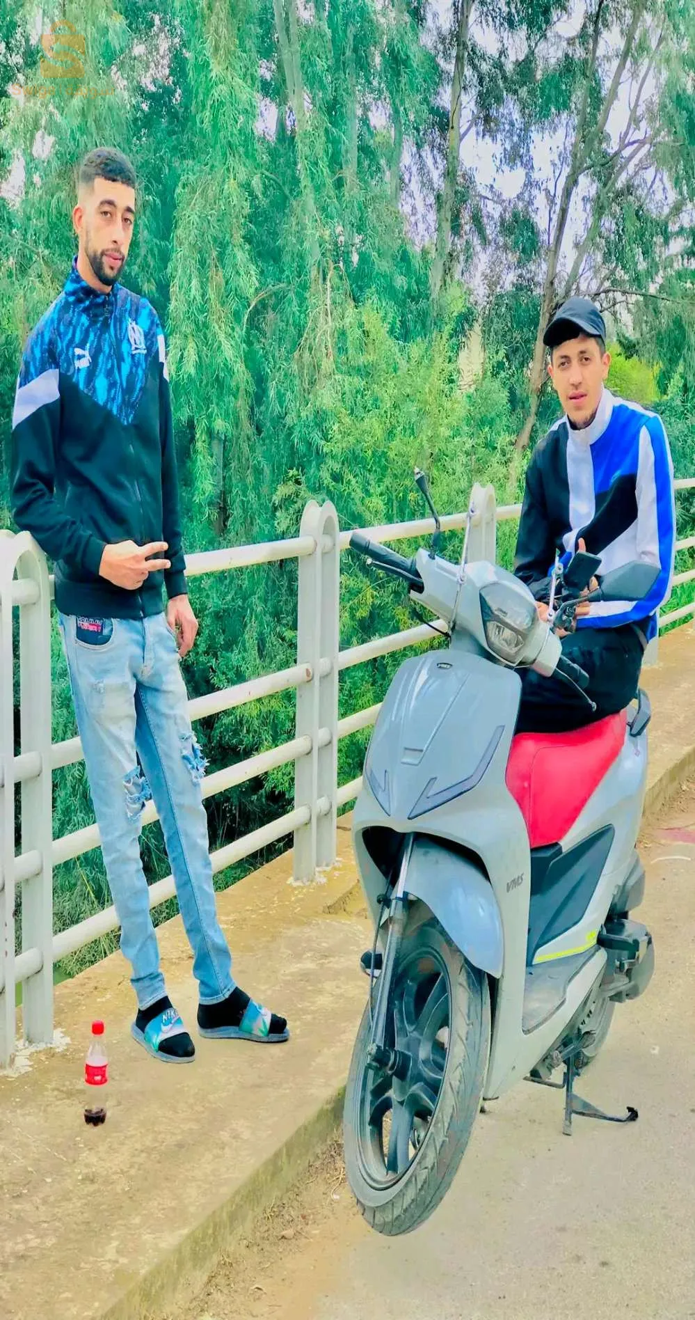 العصفور الطارف