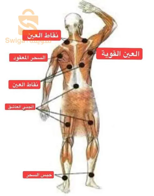 الرقية الشرعية لكل الحالات المصتعصية