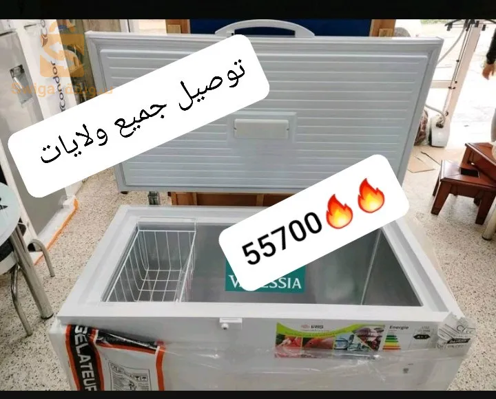 كونجيلاتور ايريس قوة