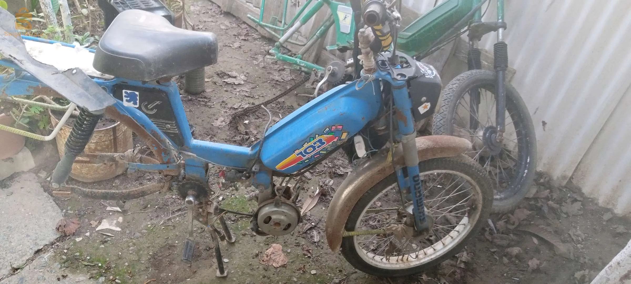 بومرظاس
