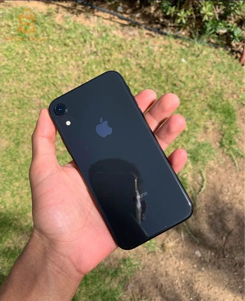 xr n9ay kllchi riglo