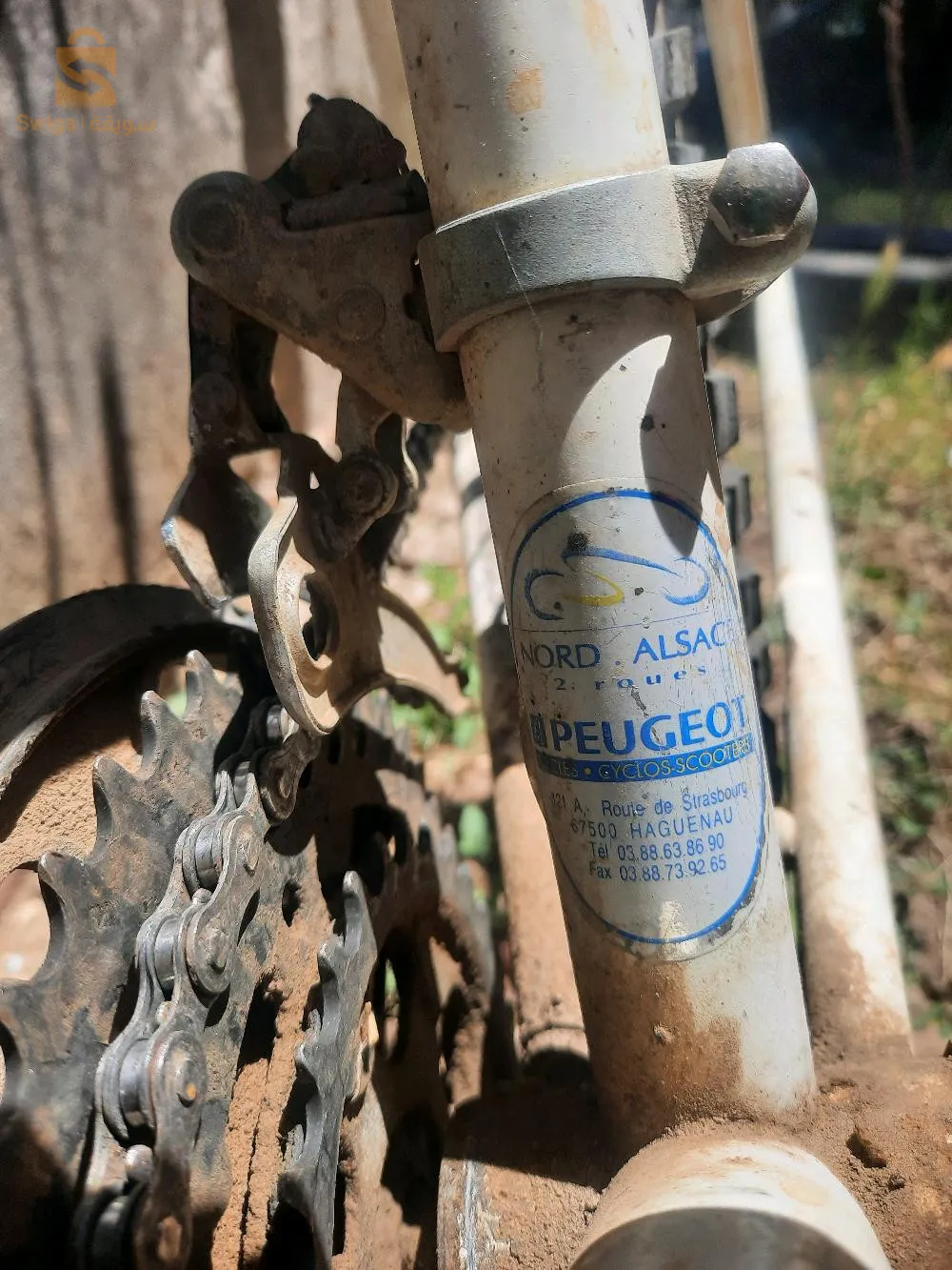 vélo Peugeot