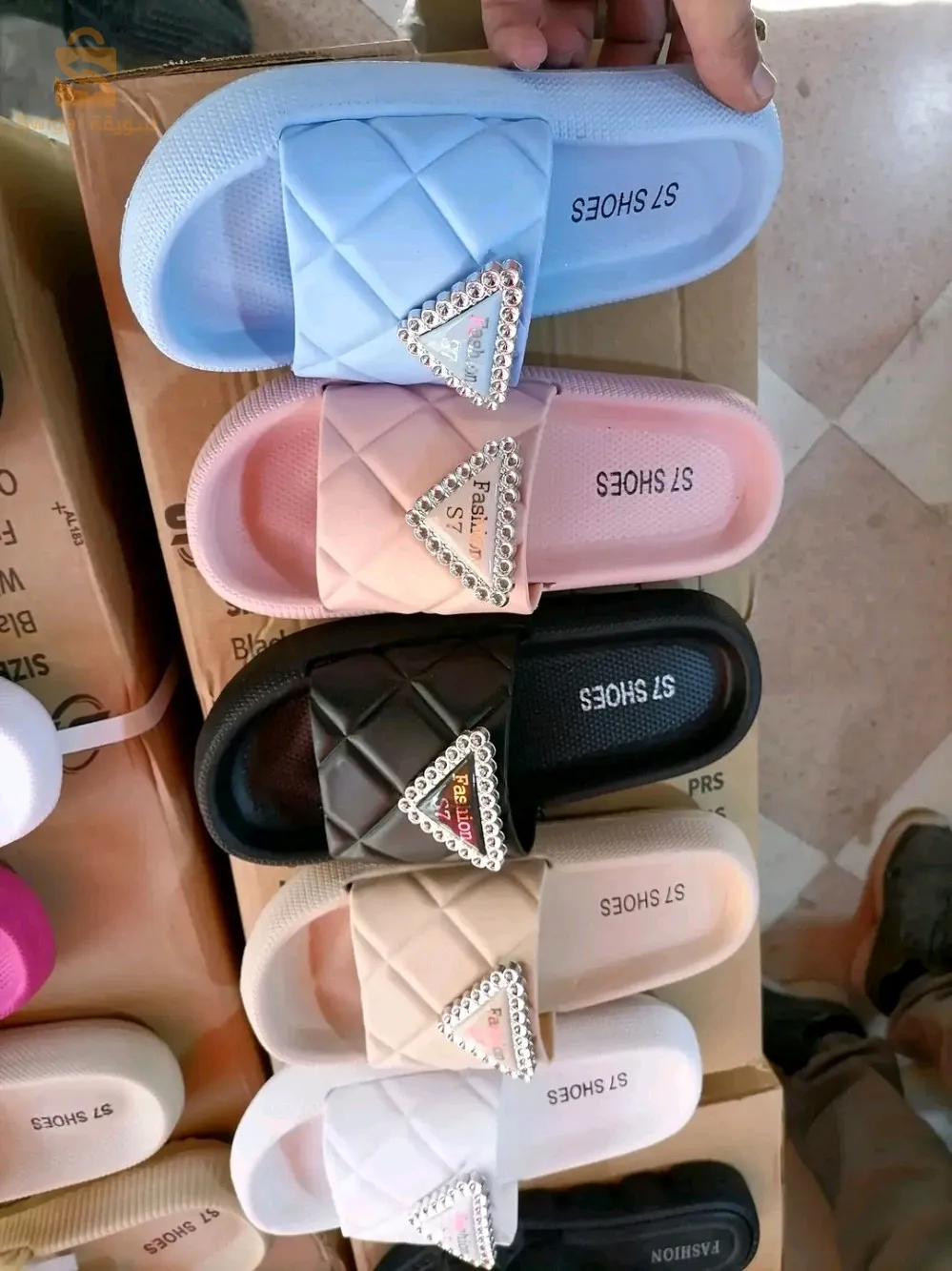 معسكر