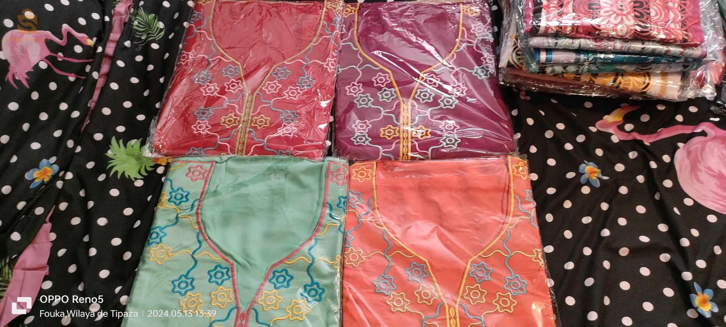 فزكة ولاية تيبازة