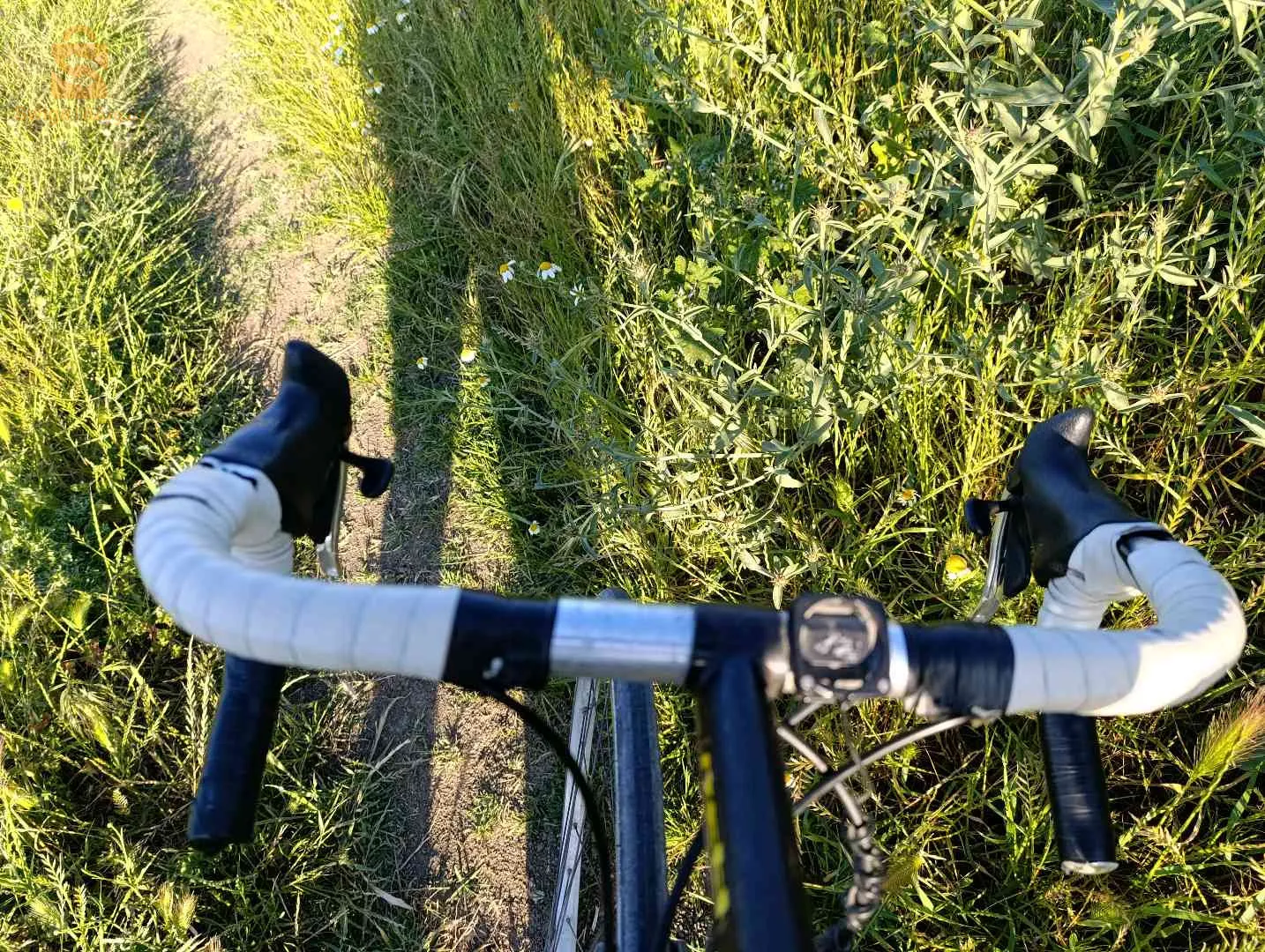 Constantine Didouch Morad