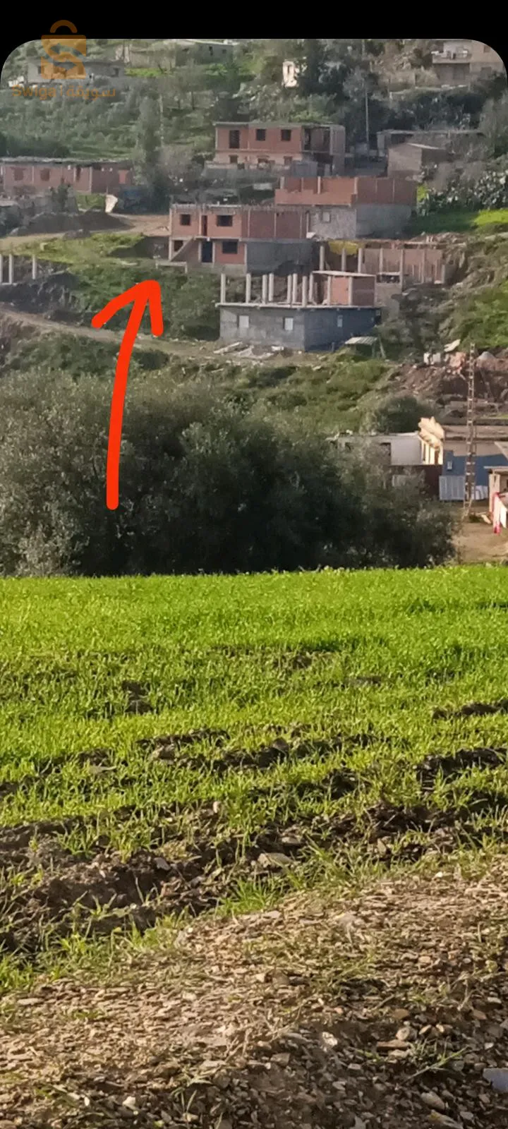 بلدية حمادي كرومة ولاية سكيكدة