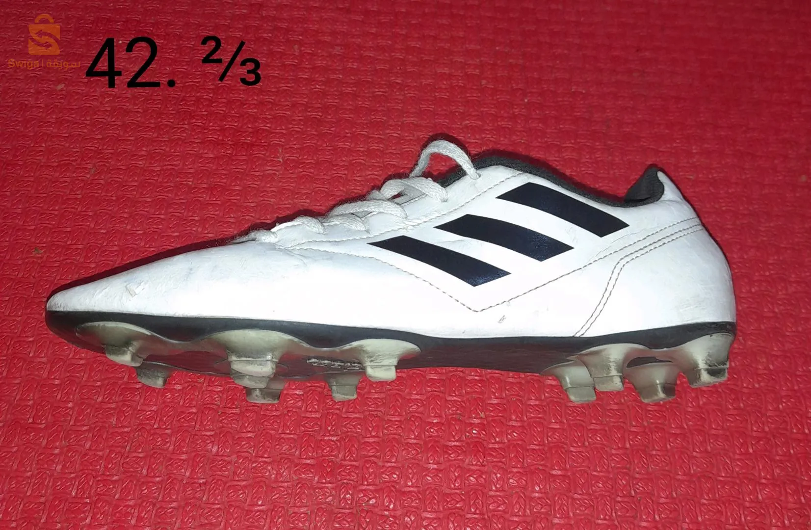 سولي نقي 0661989579