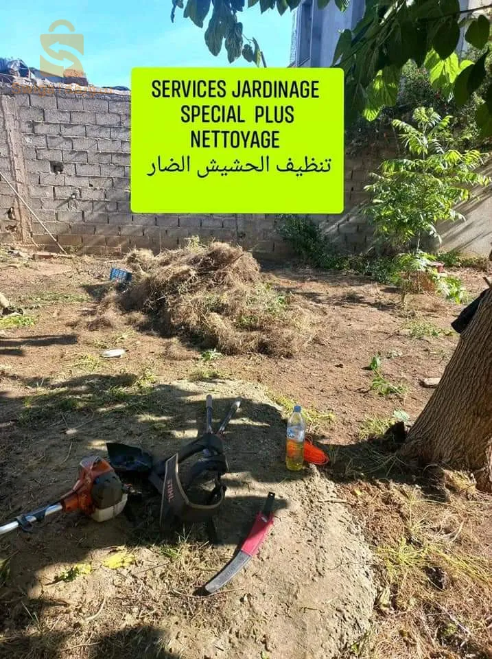 قطع الاشجار الضارة