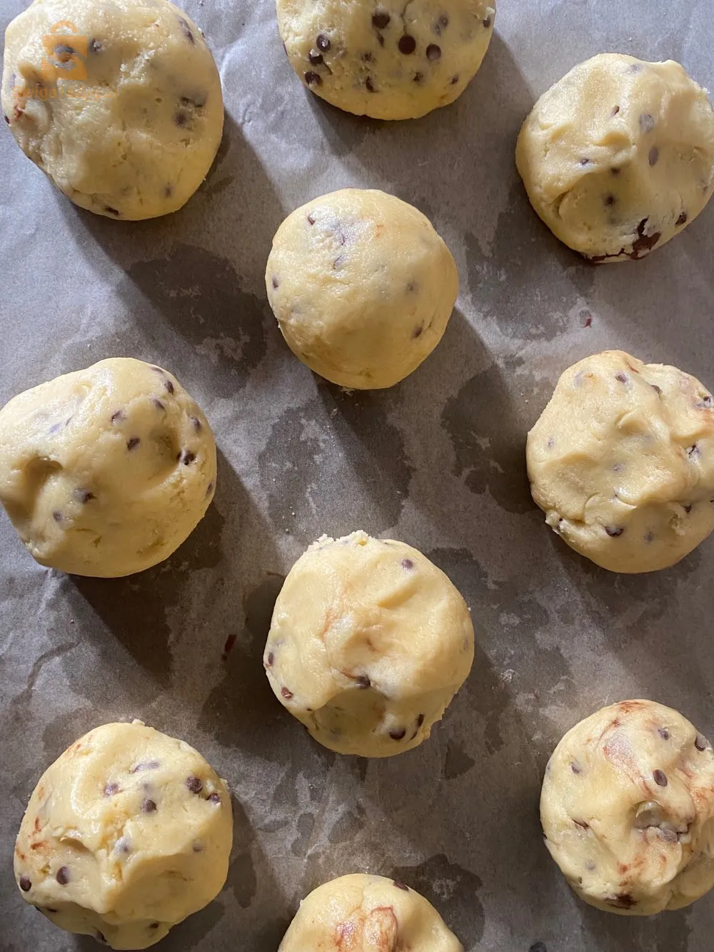 بيع كوكيز / طارت / بنيون بريستيج