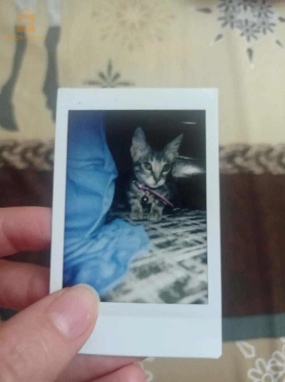 Instax mini 8