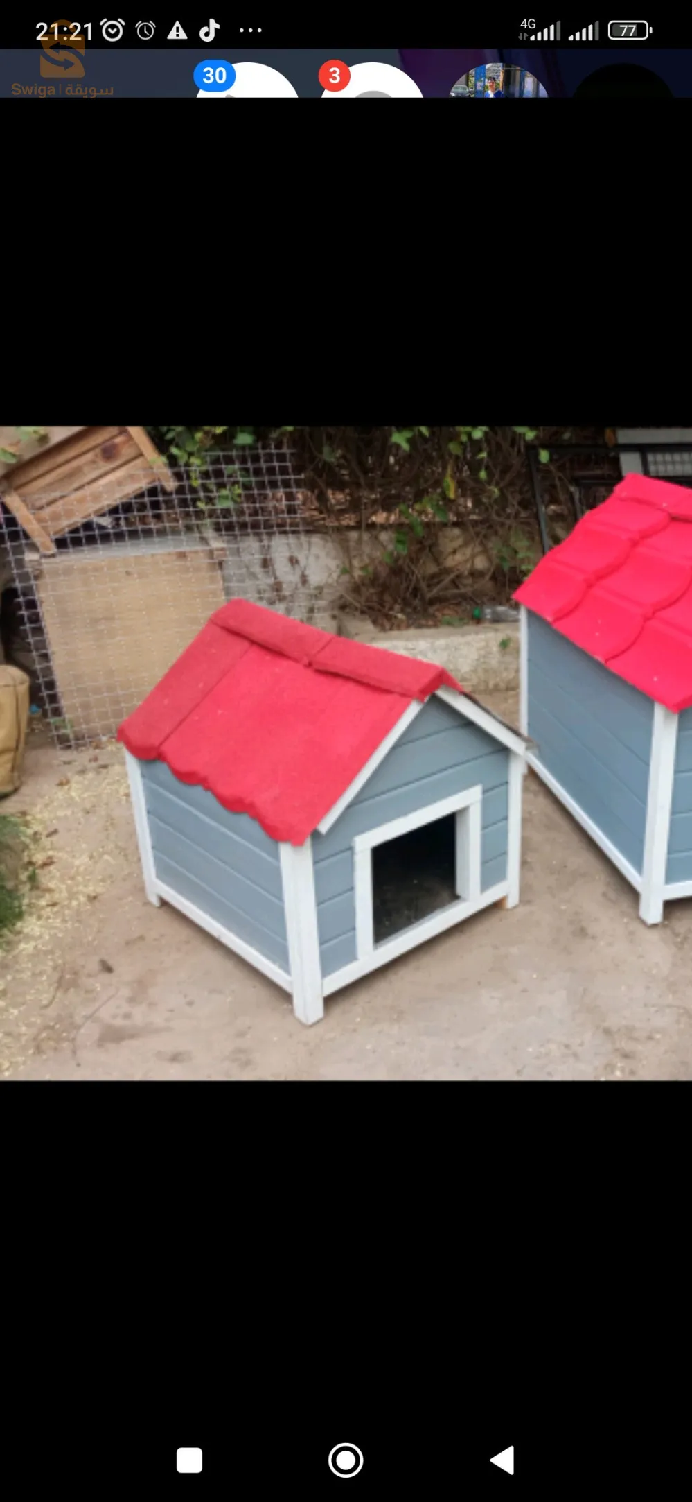 منازل الكلاب