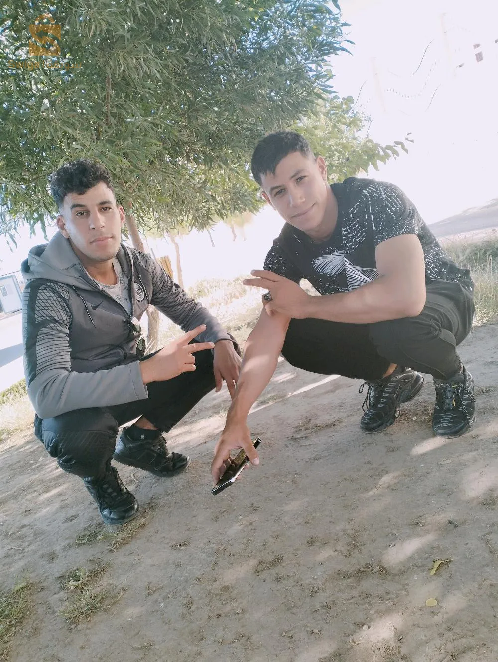 التمريض