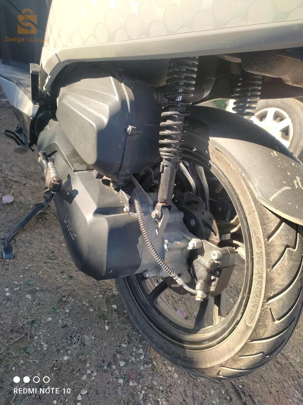 العصفور الطارف