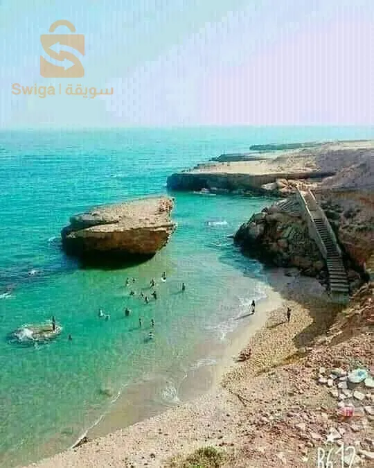 عشعاشة مستغانم