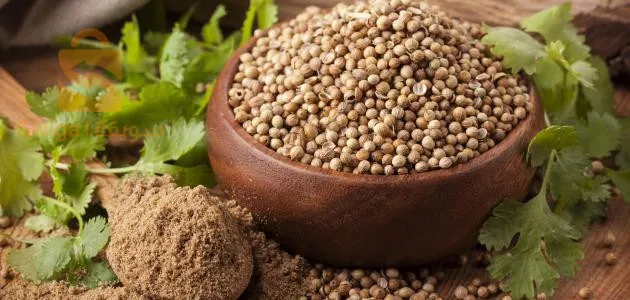 اعشاب طبيعية و توابل