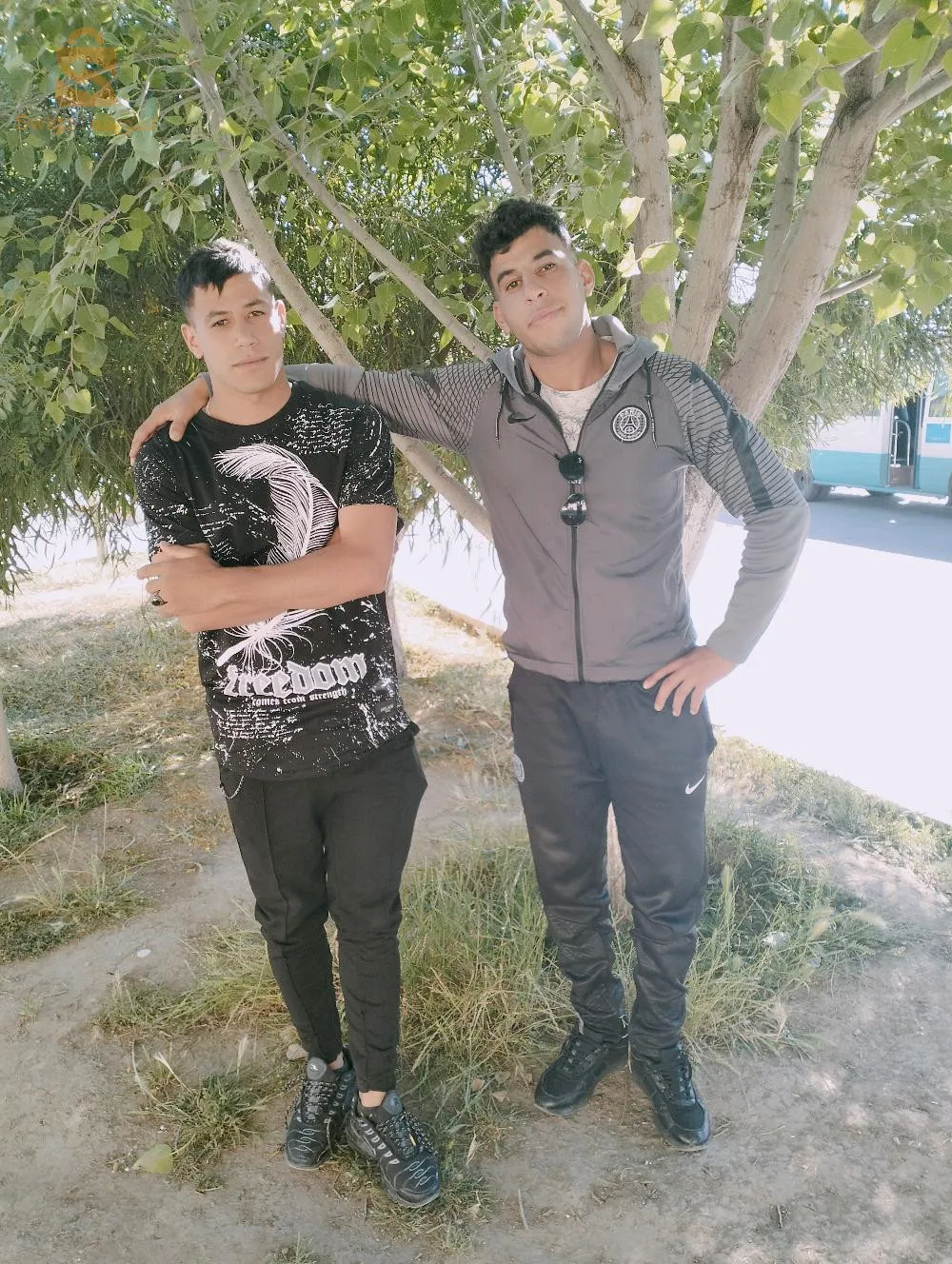 التمريض