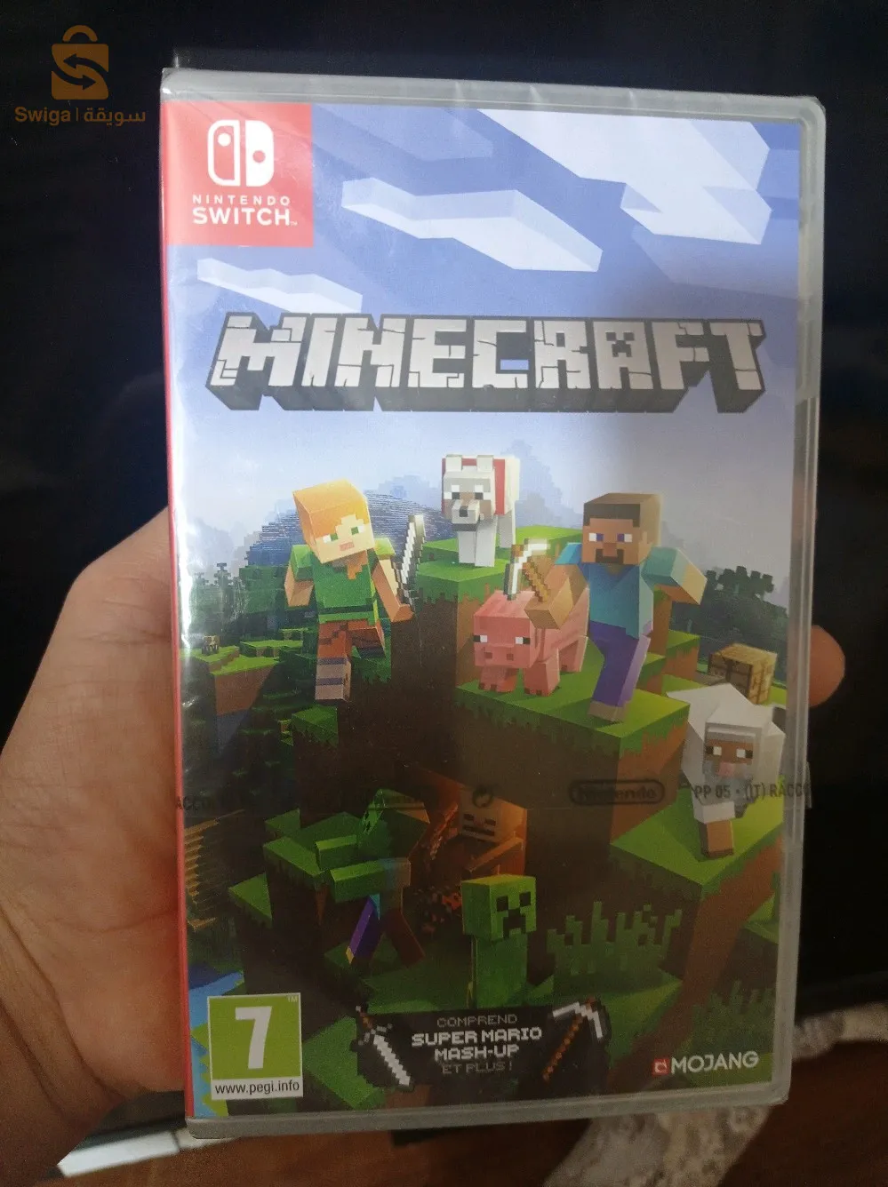 Minecraft Nintendo switch