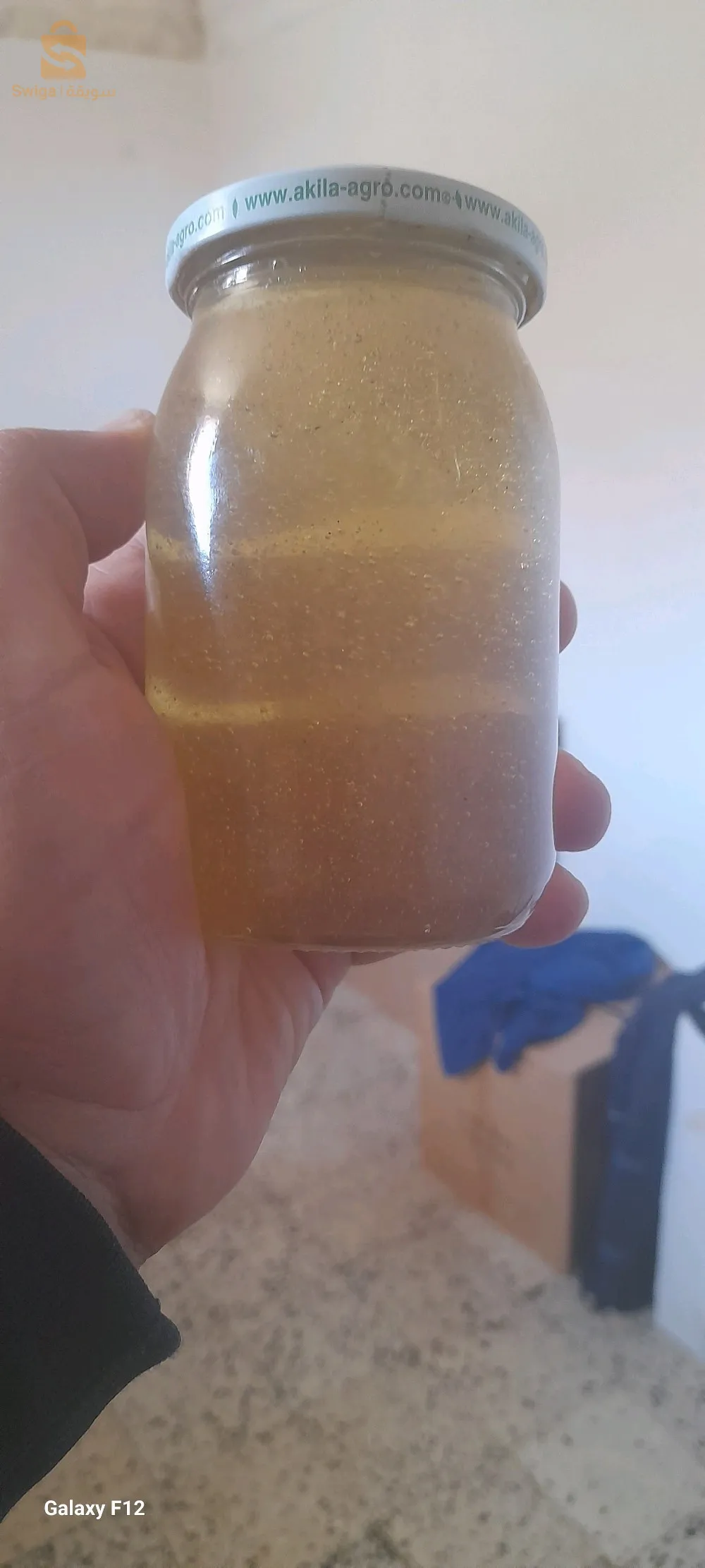 صور الغزلان