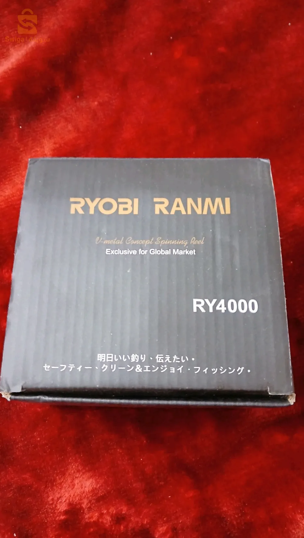 عين الدفلى مركز