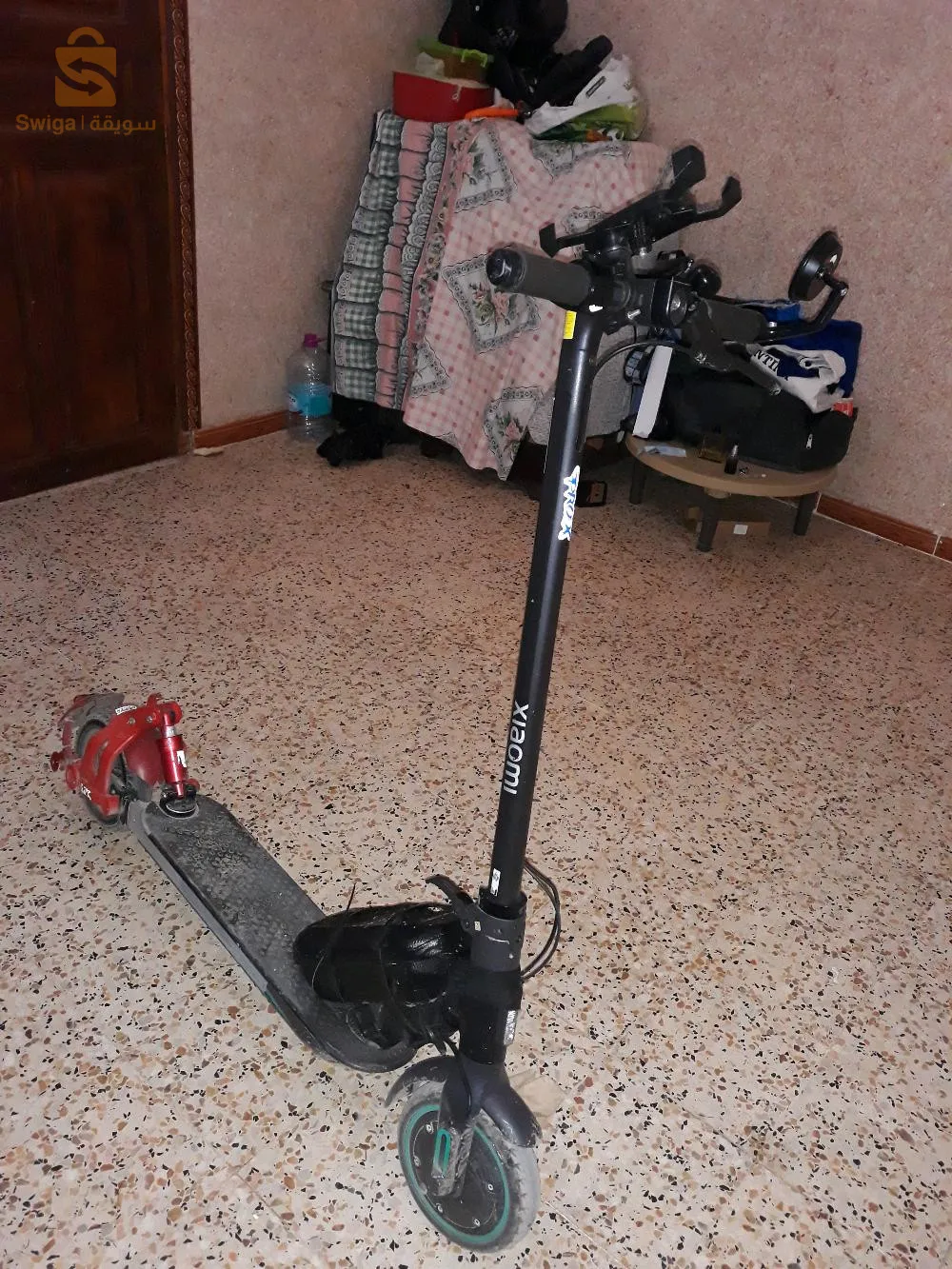 تروتينات bnz