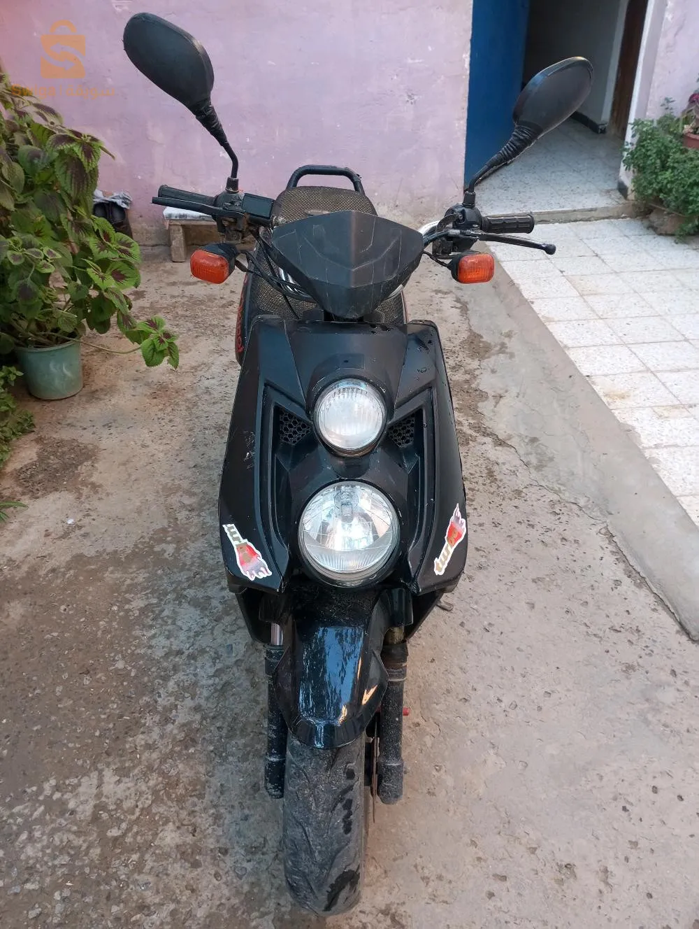 واد الشرفاء