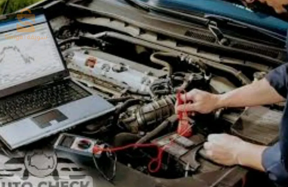 Djelfa and its environs