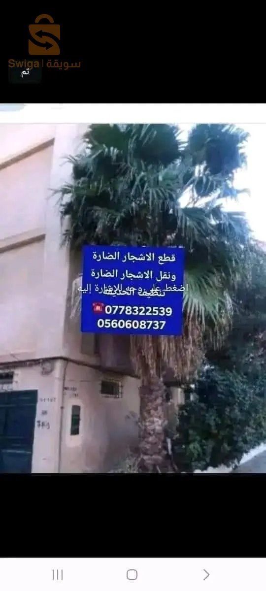 قطع الاشجار الضارة