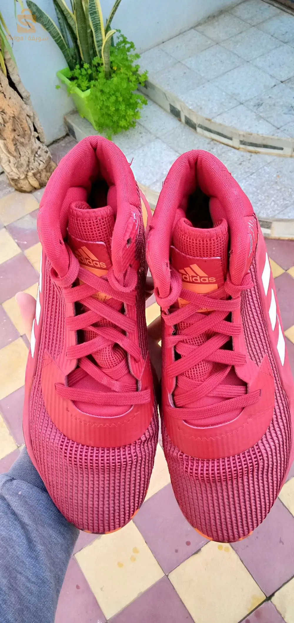 حذاء رياضي لكرة السلة