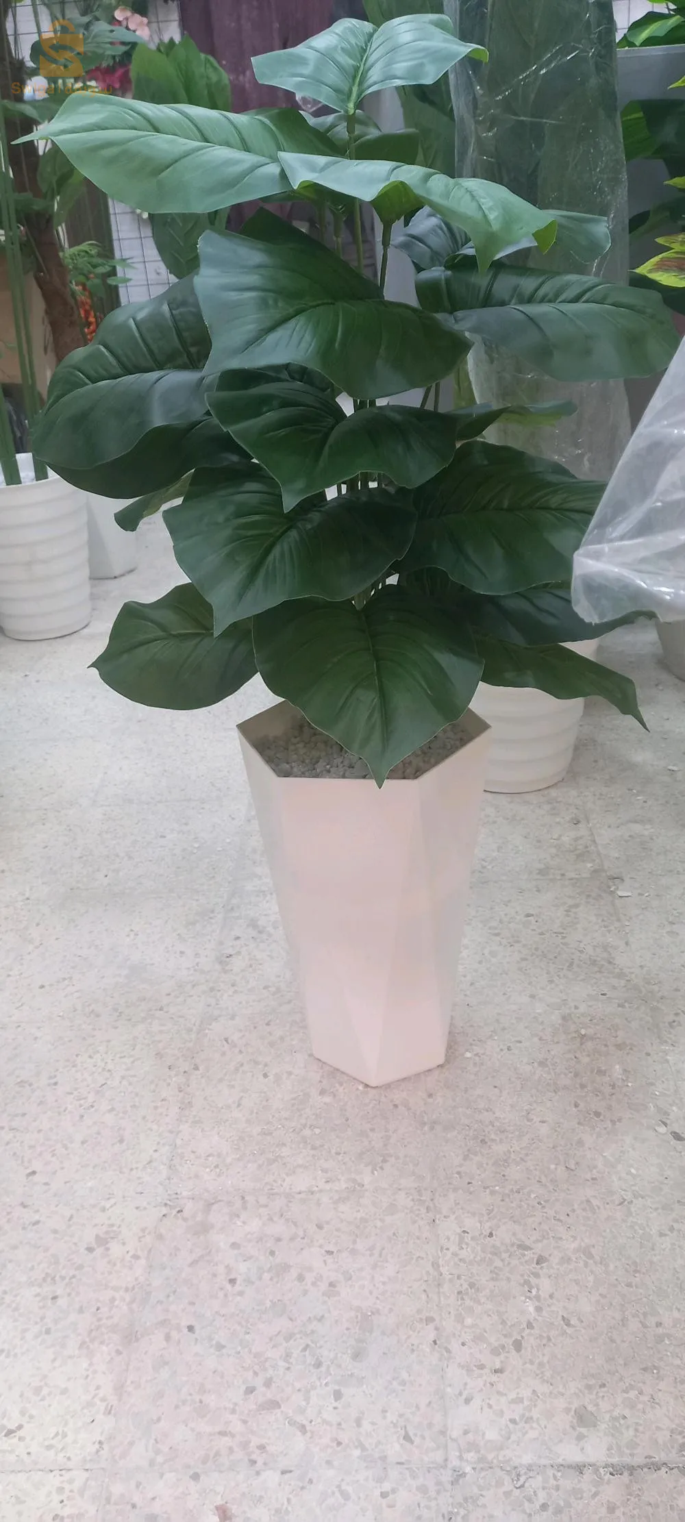 نبات اصطناعي