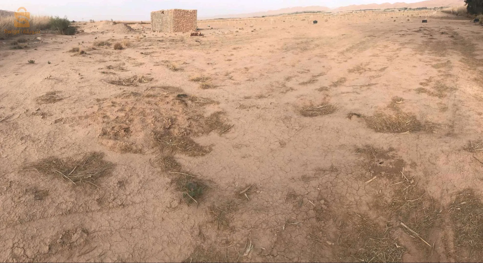مزرعه فلاحية متواجدة خلف الحديقة النباتية المريقة الاغواط