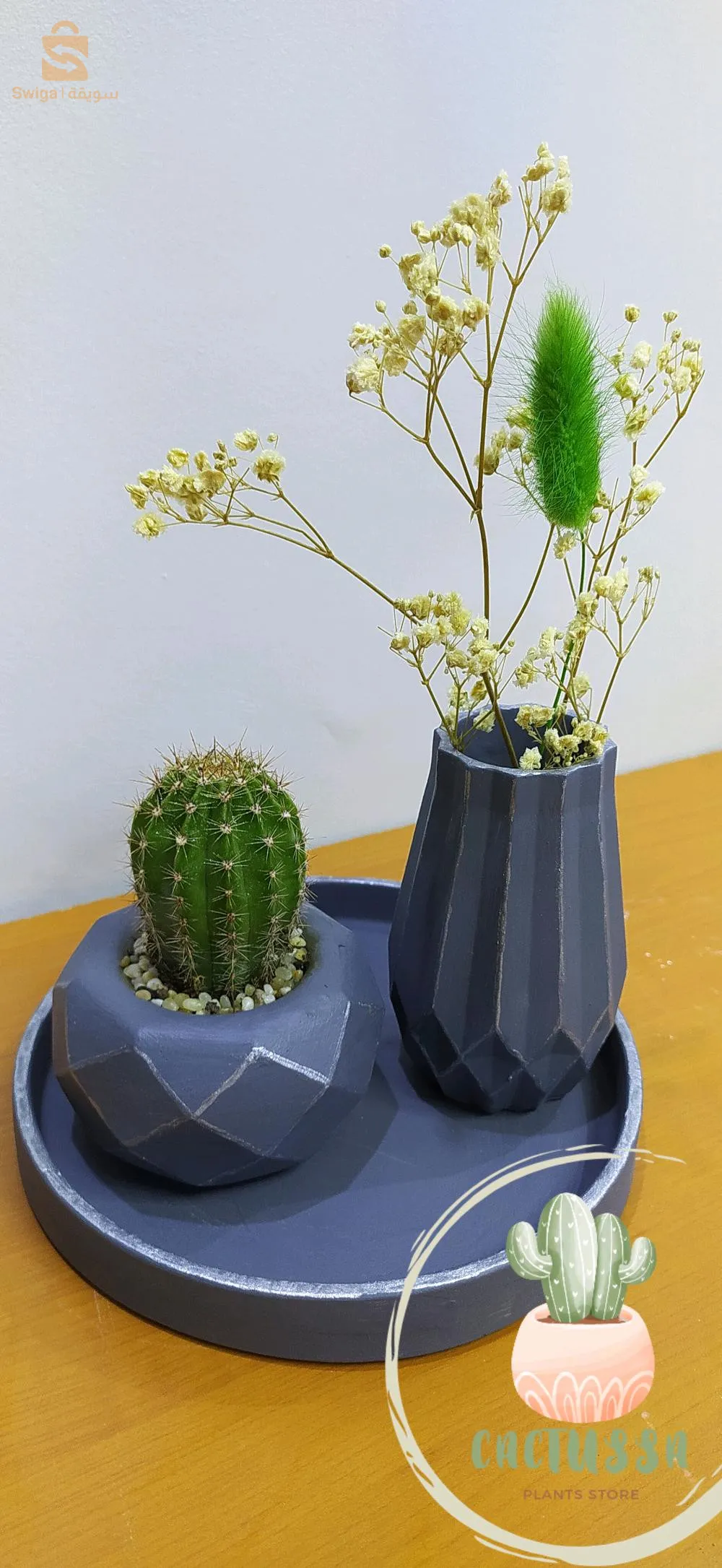 نباتات طبيعية منزلية