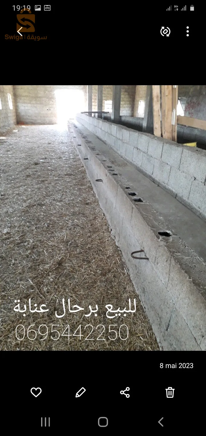 برحال