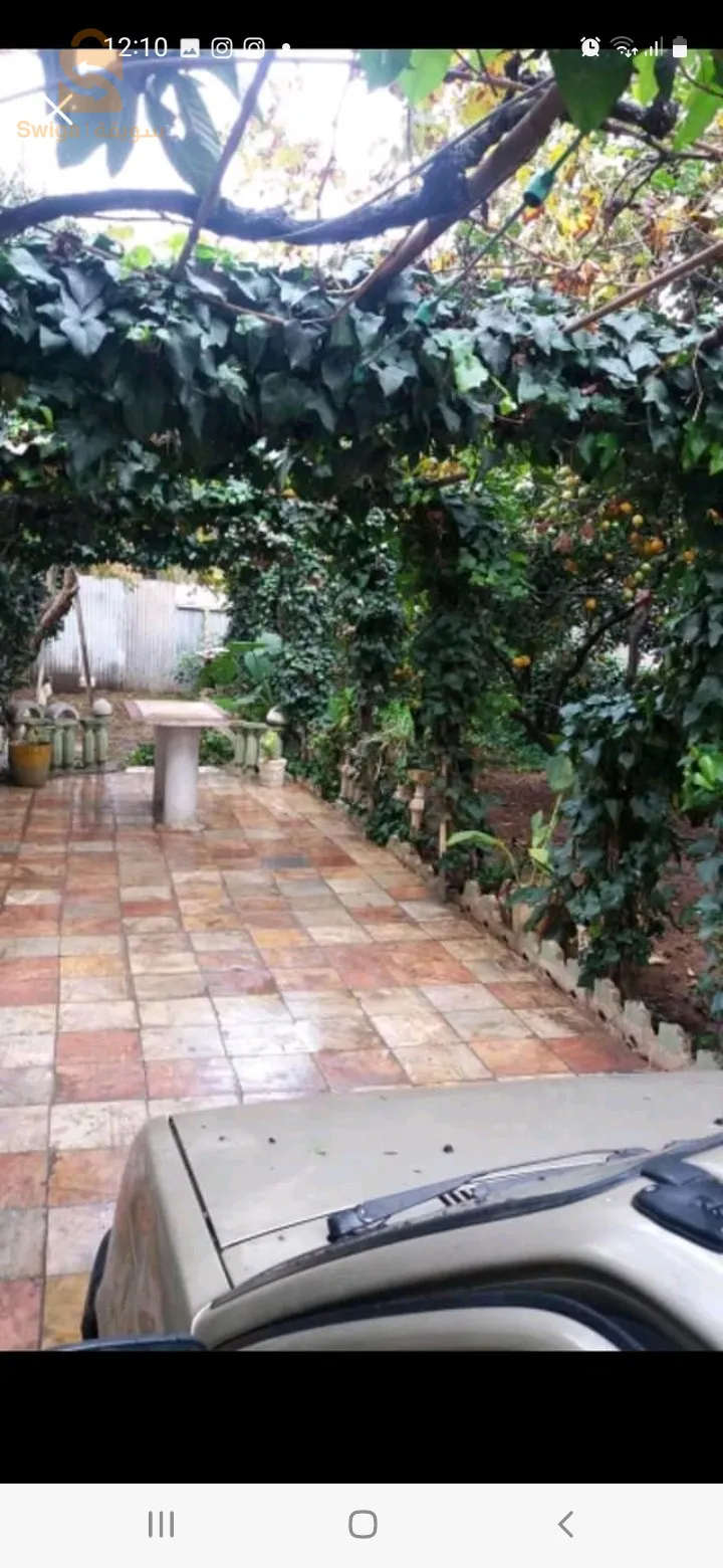 السواكرية مفتاح البليدة قريبة واد السمار