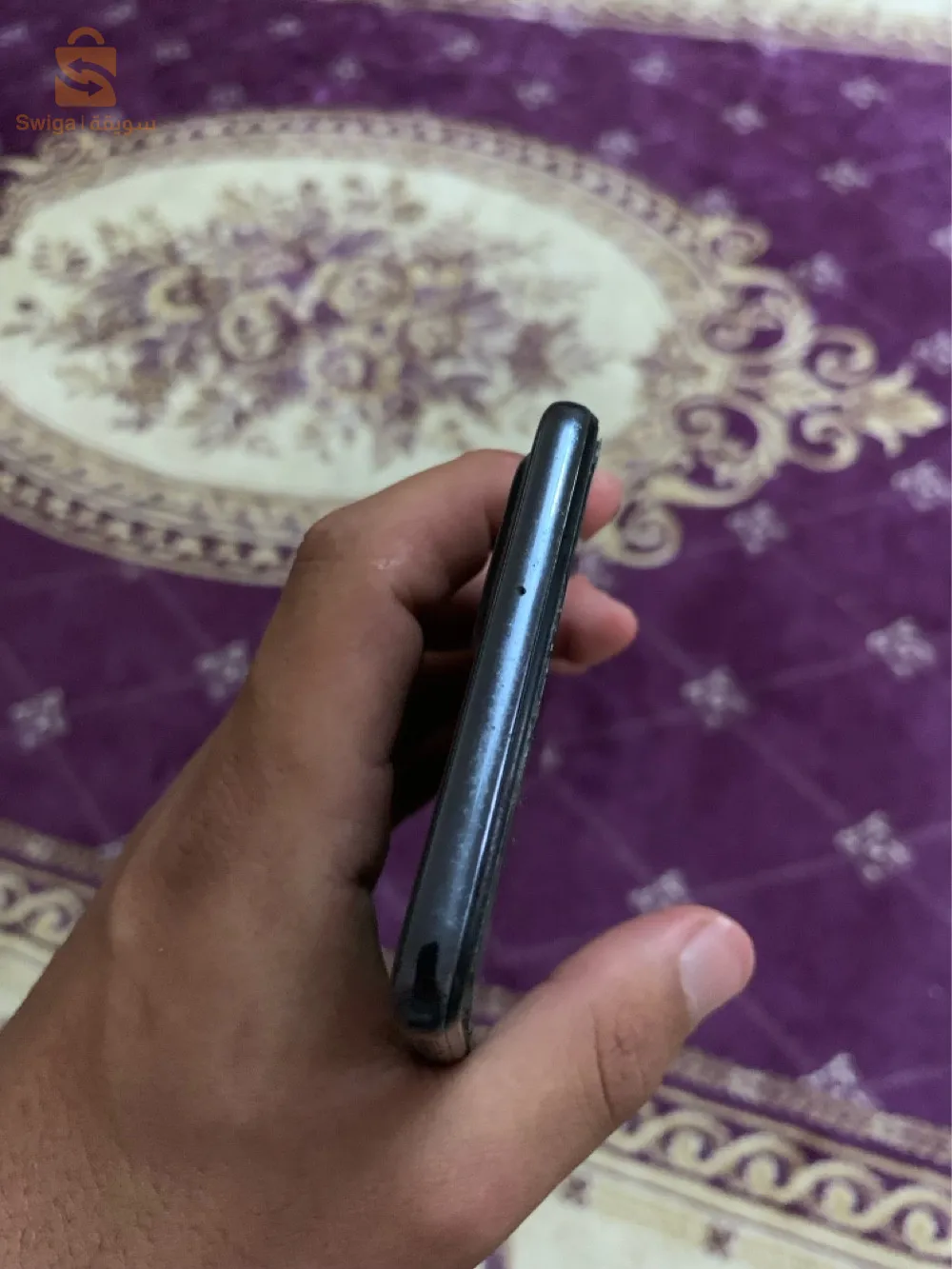 المدية