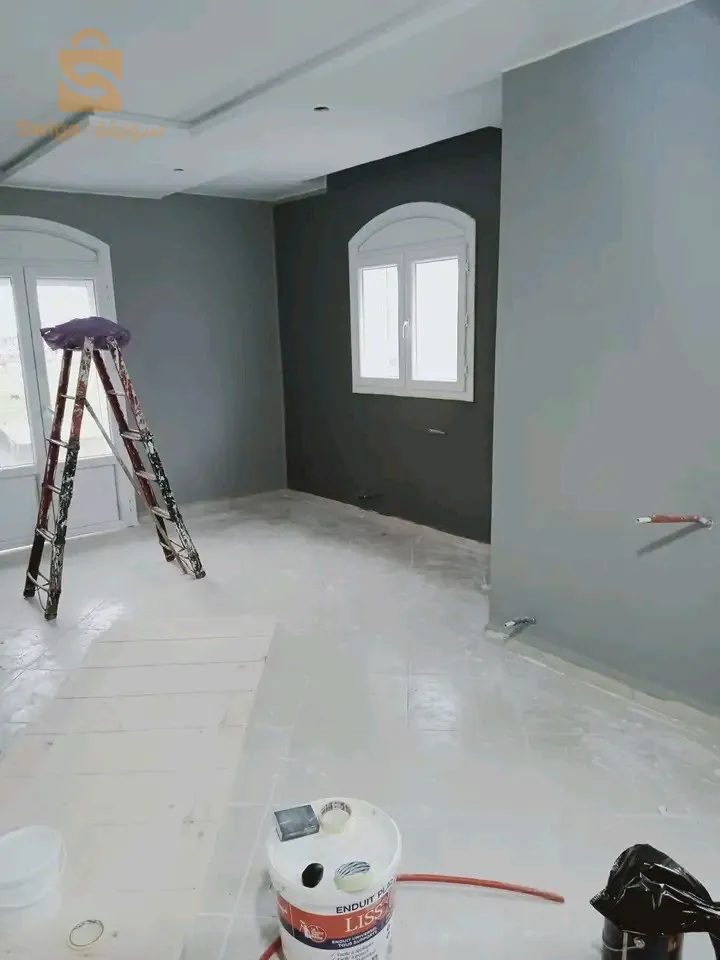 Peindre des maisons avec des décorations modernes (satin + décor)