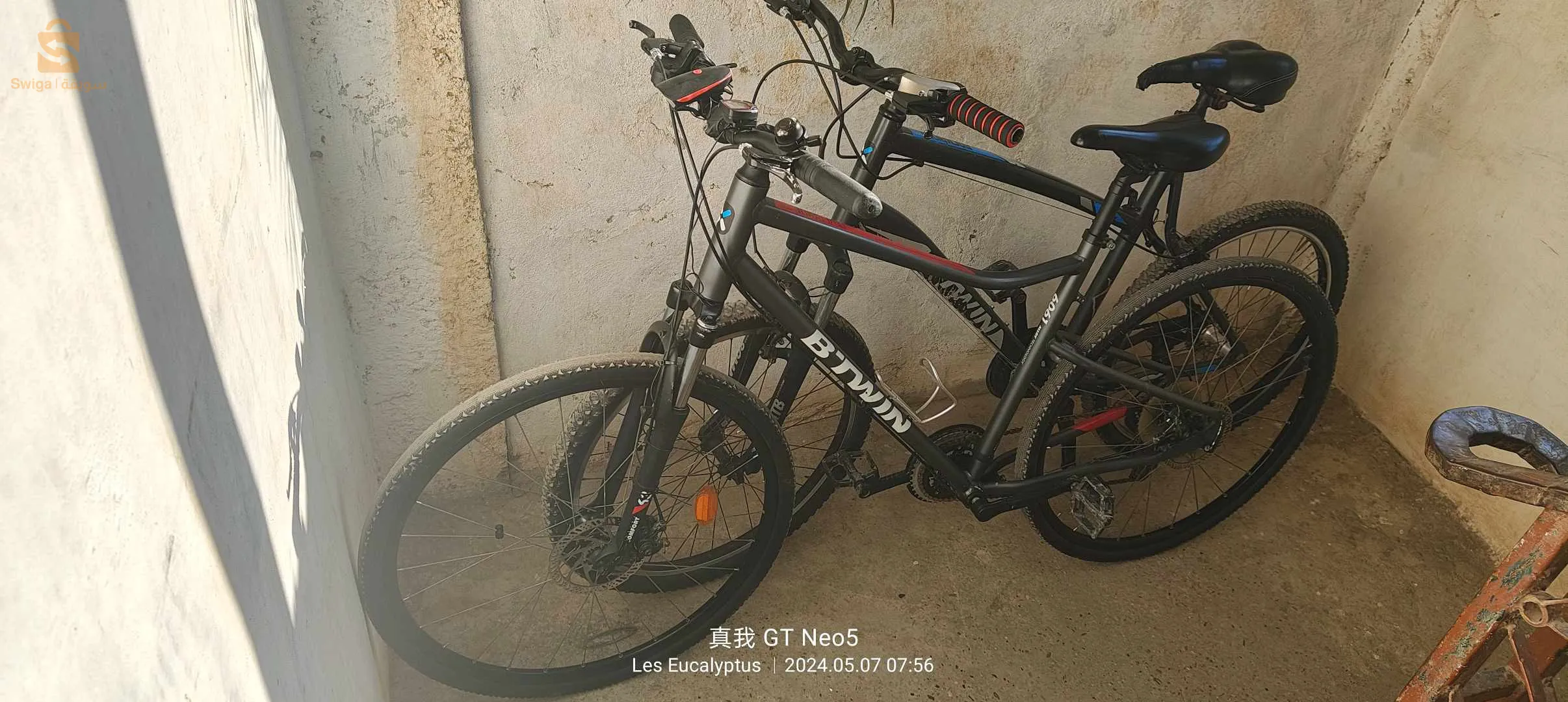 فيلو الله يبارك. حابة كابة