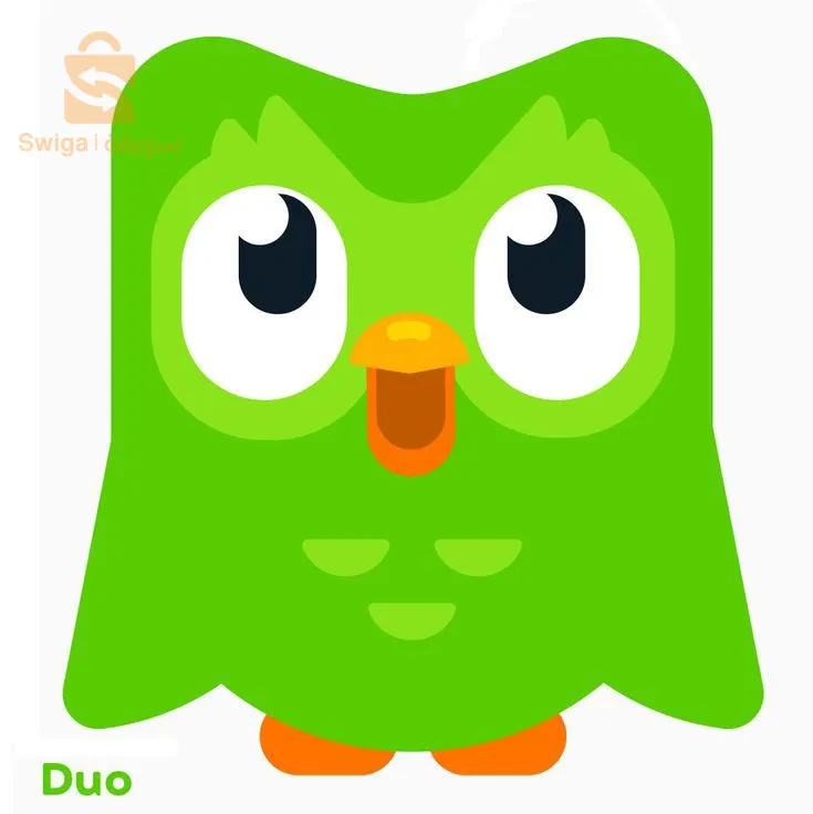 Activez l'application d'apprentissage des langues Duolingo
